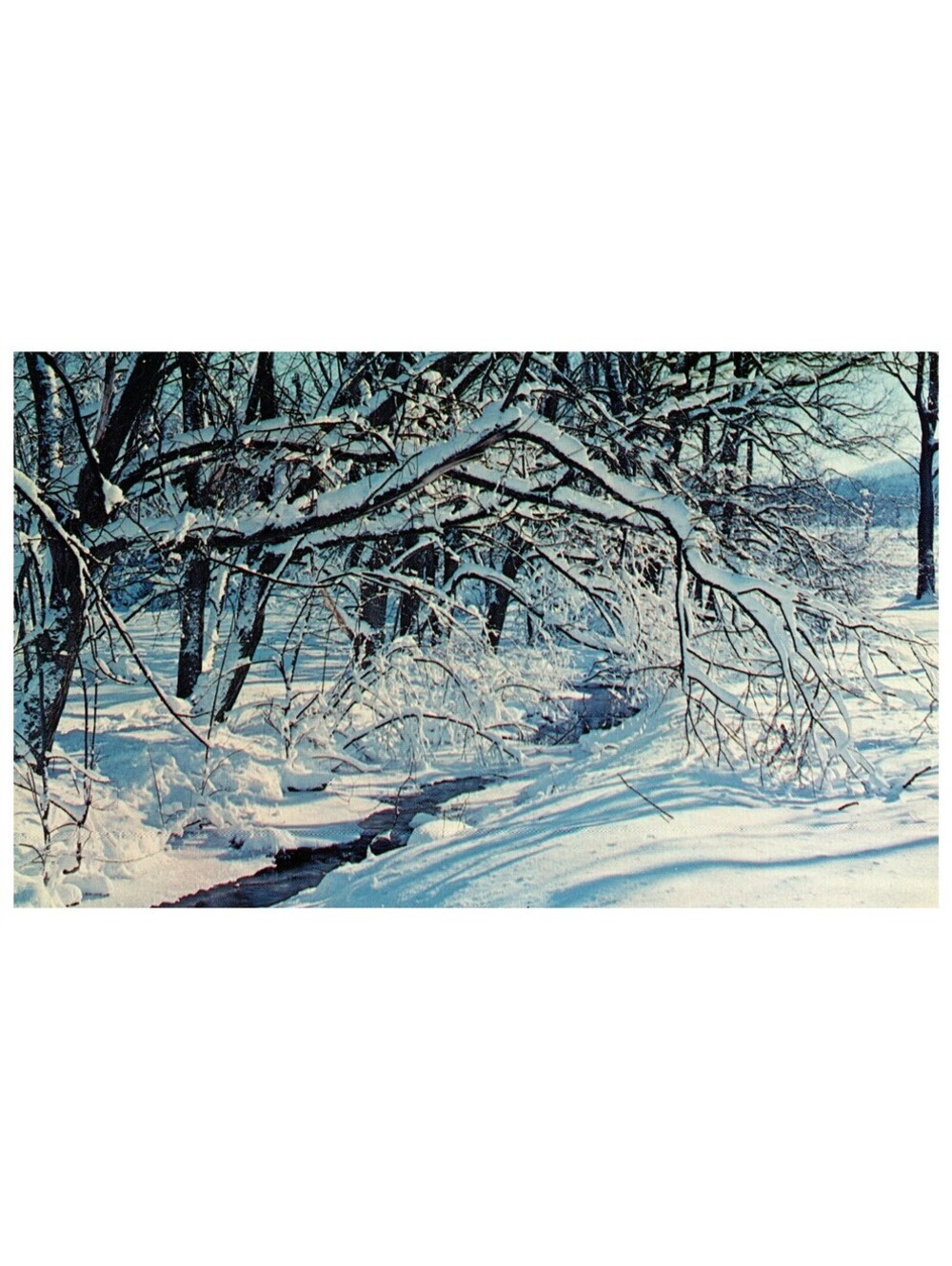 Vintage Postcard 1960s Winter Wonderland Snowy Forest Scene Stream Old Stock